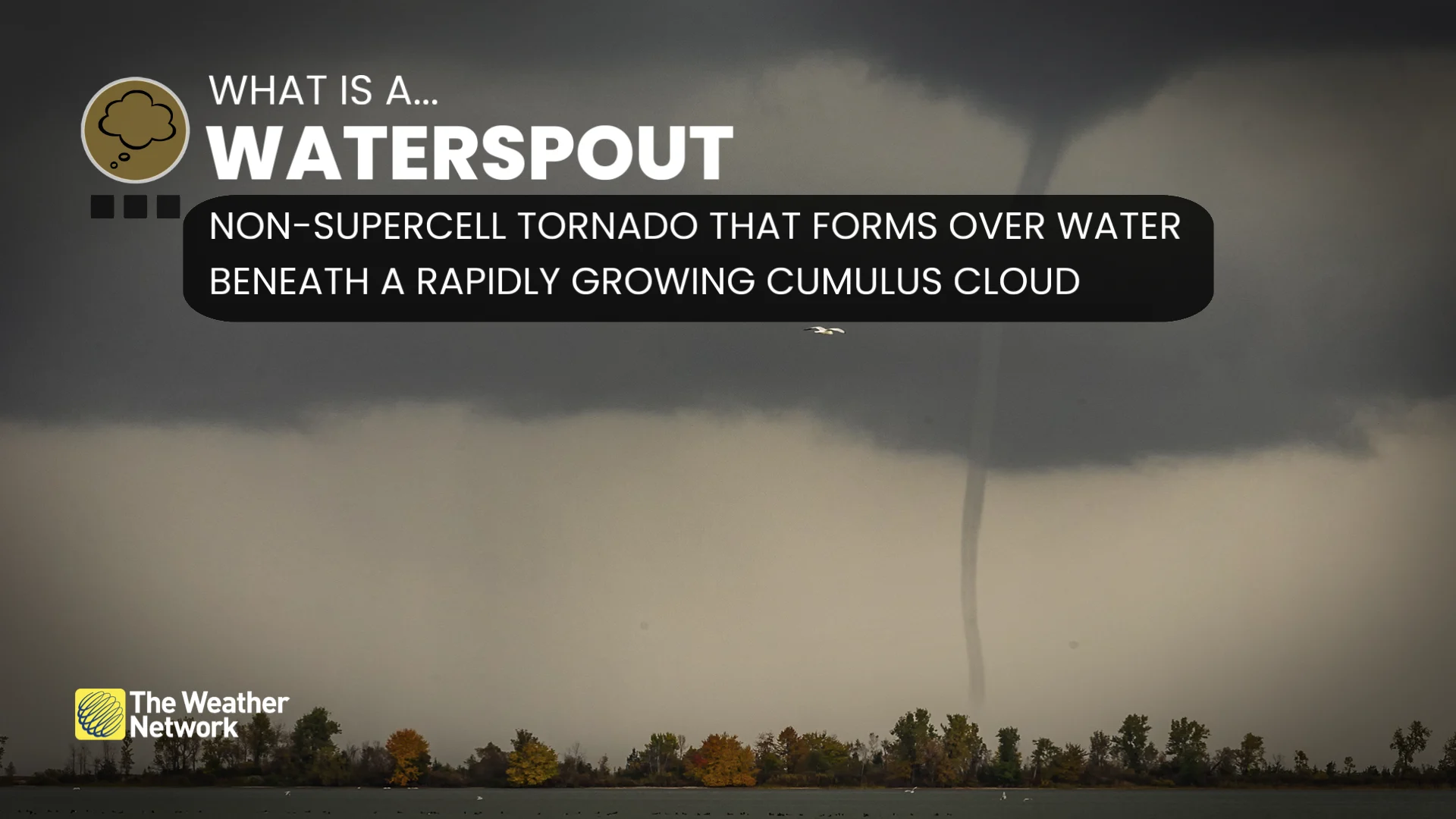What is a waterspout explainer
