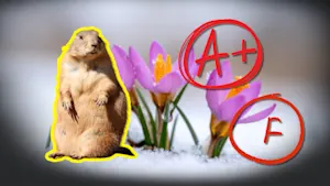 Did the groundhogs get it right? Grading this year’s furry forecasters