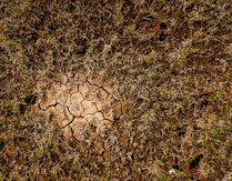 Sizing up each political party's climate change plan