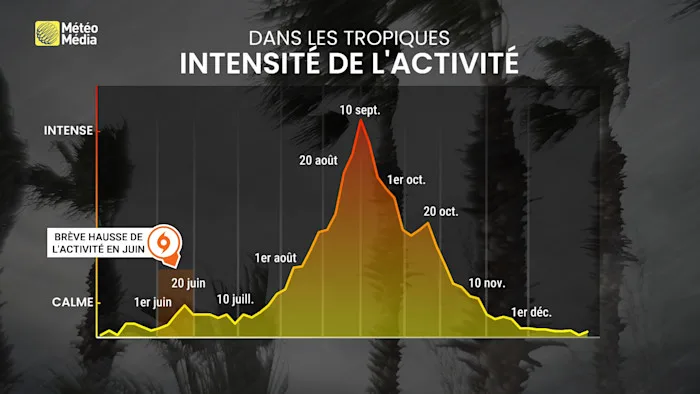 PACIFIQUE4