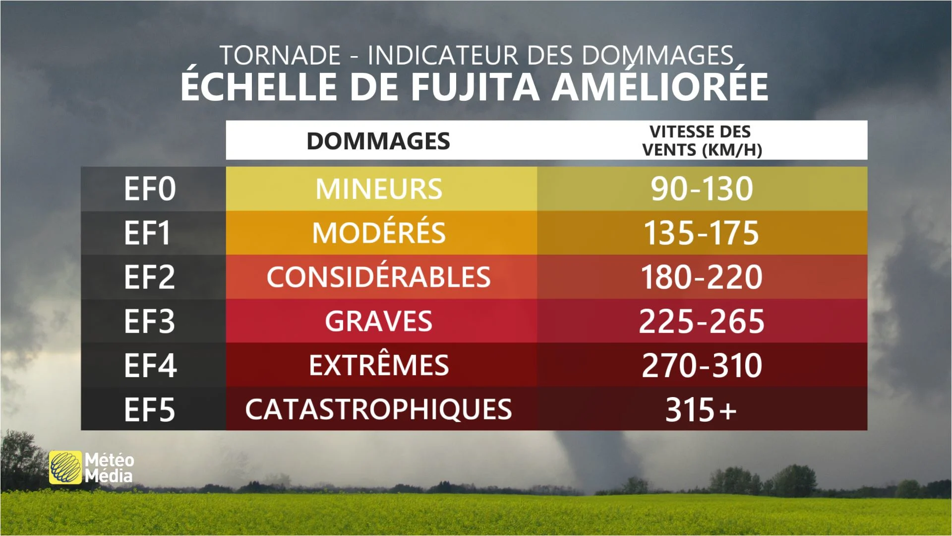 TORNADES4