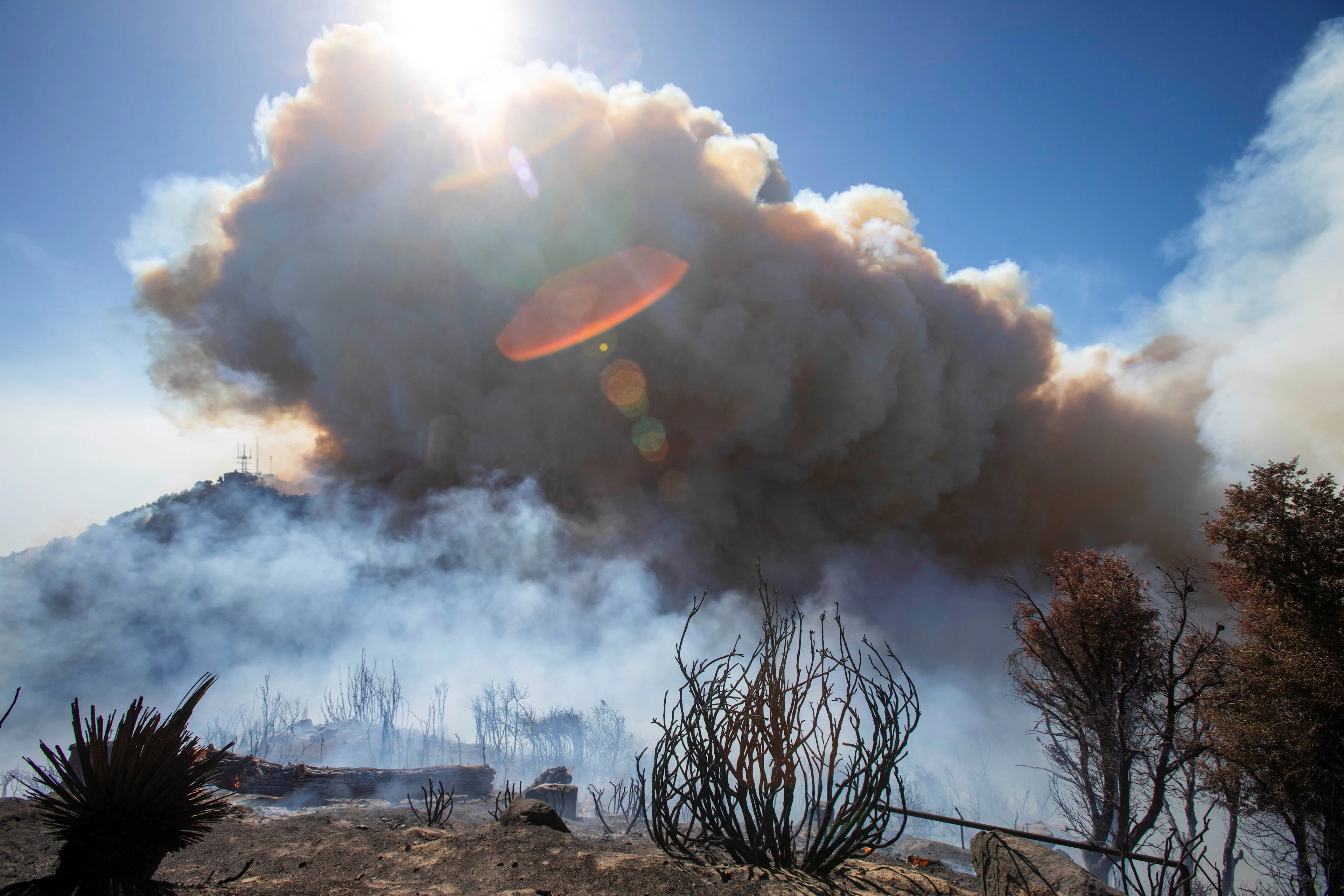 REUTERS: Smoke is seen in the Angeles National Forest near Mt. Wilson as the wildfires burn in the Los Angeles area, at the Eaton Fire in Altadena, California, U.S. January 9, 2025. REUTERS/Ringo Chiu