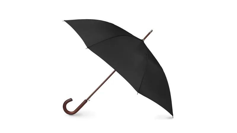 Amazon, stick umbrella black, CANVA, fall umbrellas
