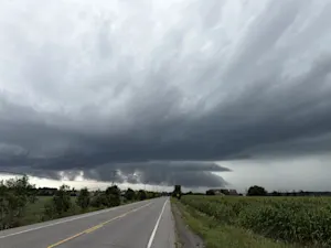 Forts vents et pluies torrentielles : les orages font des dégâts au Québec