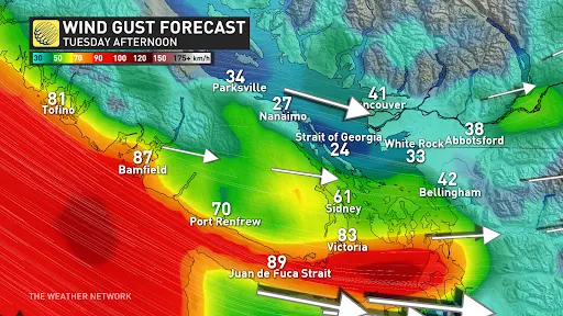 Gust Forecast