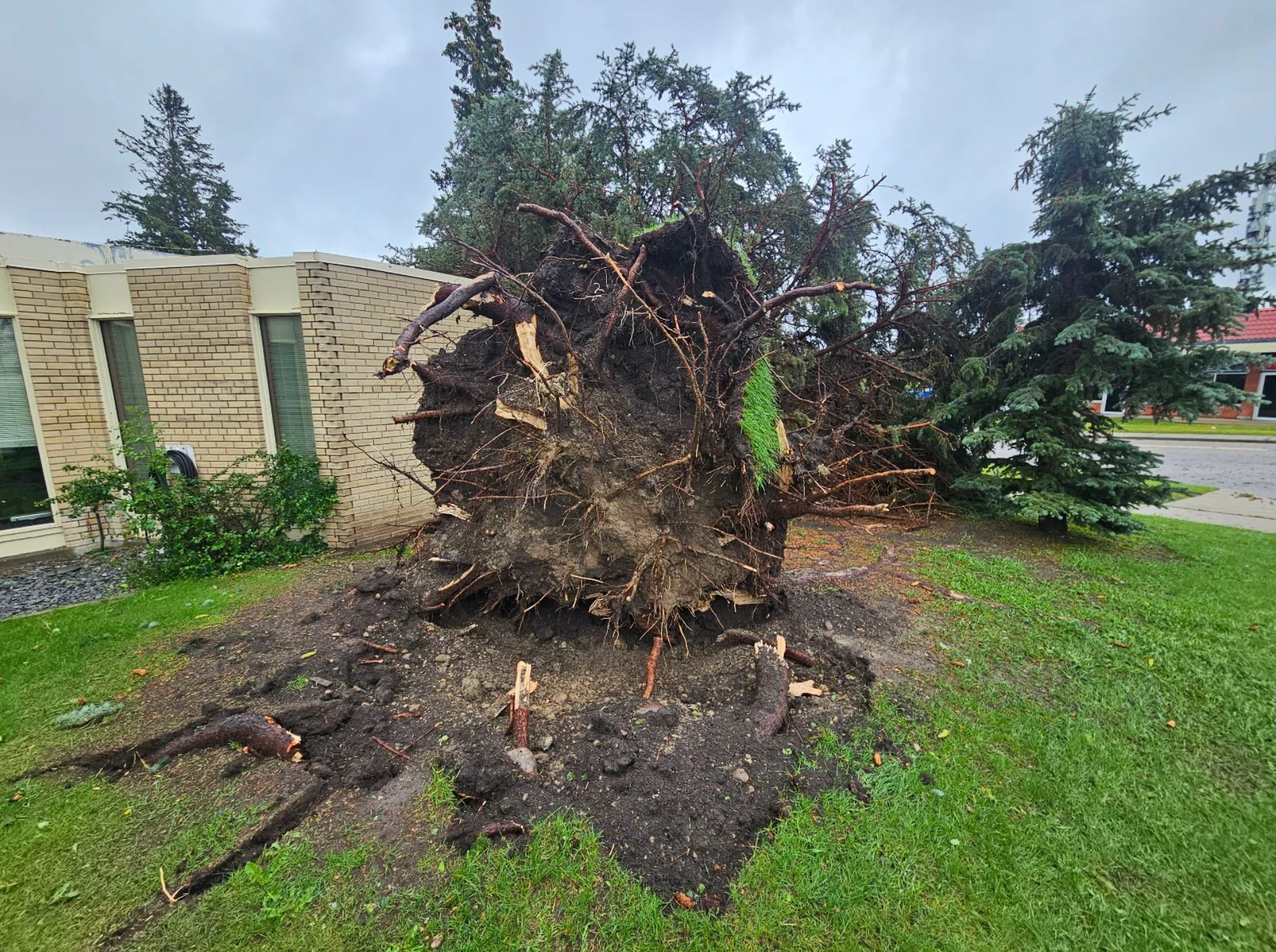 Connor O'Donovan: Damage from thunderstorm in Thorncliffe, residential neighbourhood in northwest Calgary, Alberta. (Date Shot: July 14, 2025. Storm occurred July 13) - 4