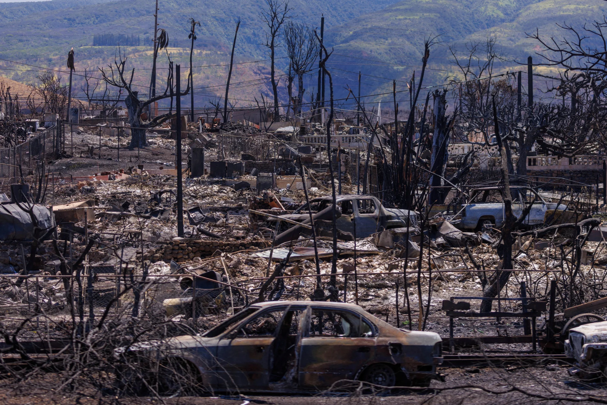 Maui's displaced grow anxious as wildfire recovery drags on