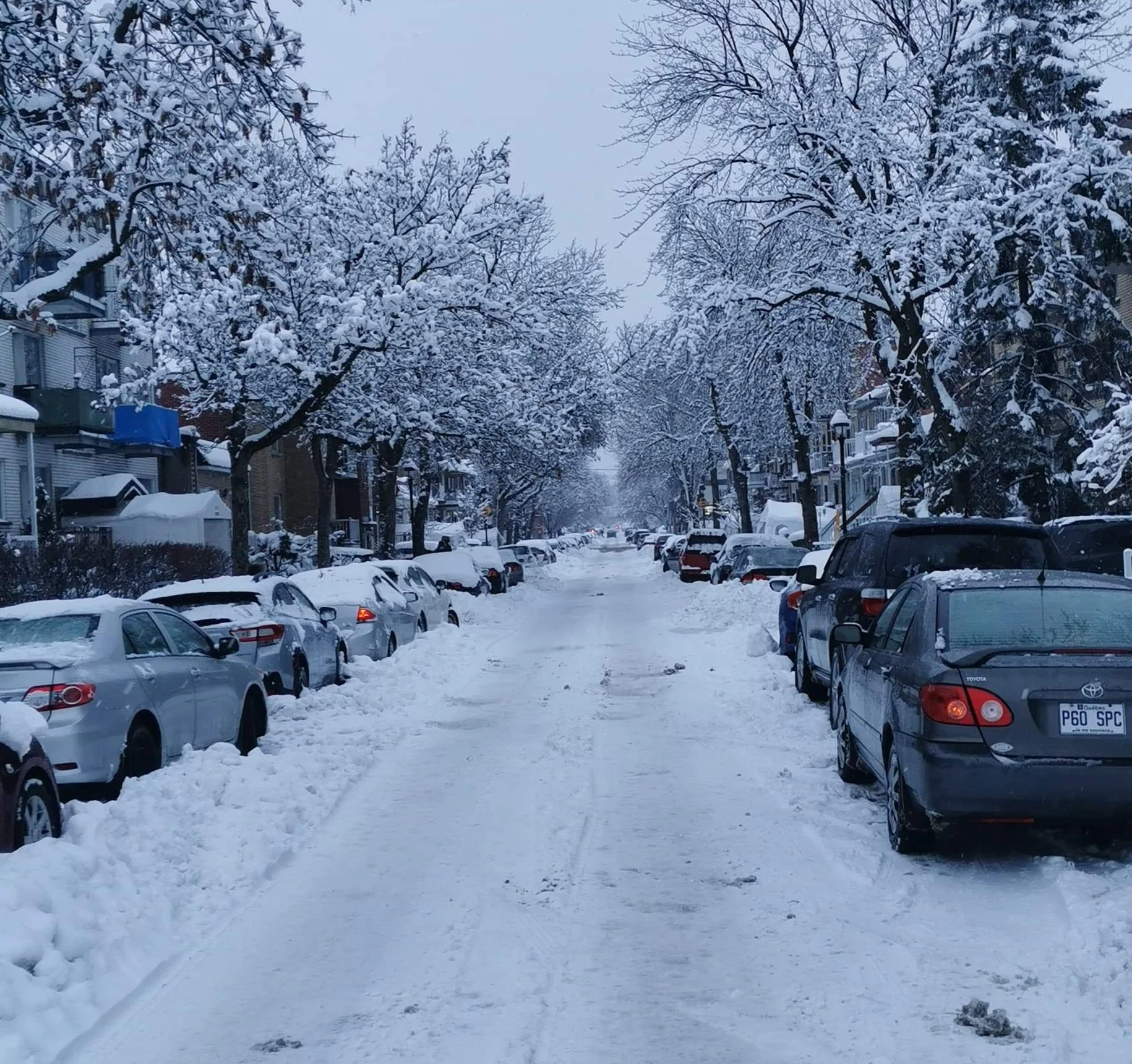 Vos plus belles images de la tempête, les voici