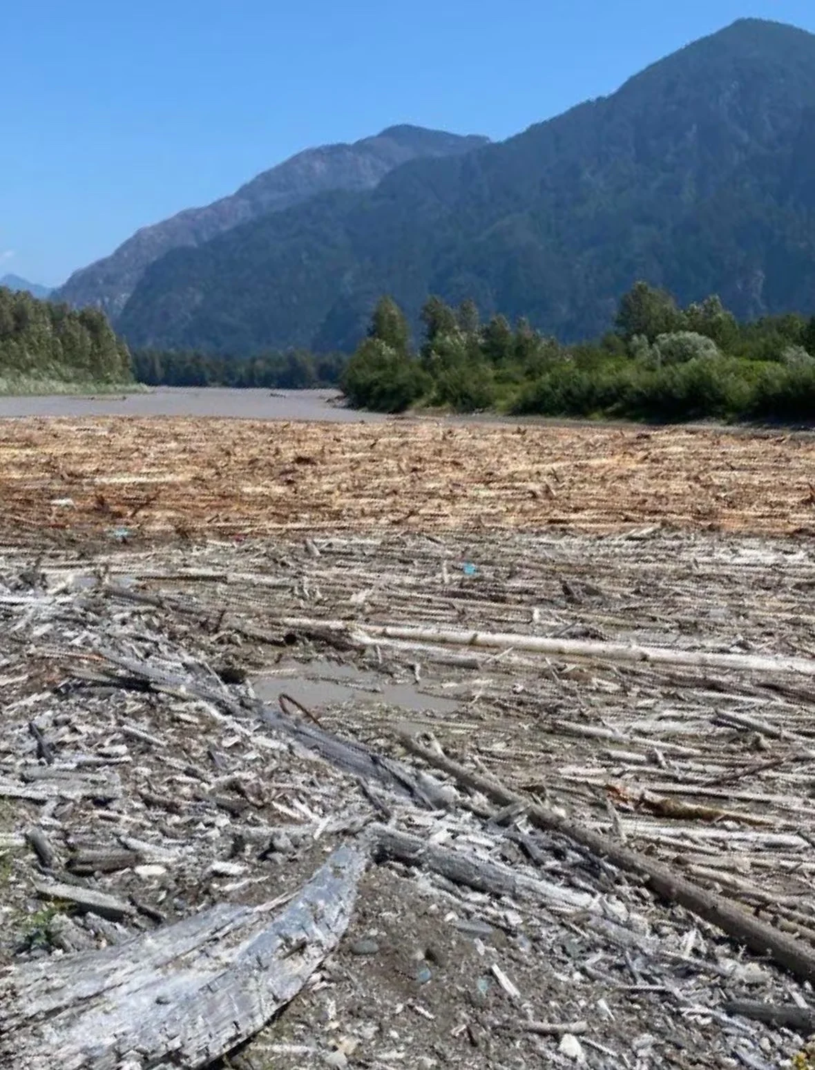 fraser-river-debris-trap-chilcotin-river-slide/Shxw’ōwhámél First Nation via CBC