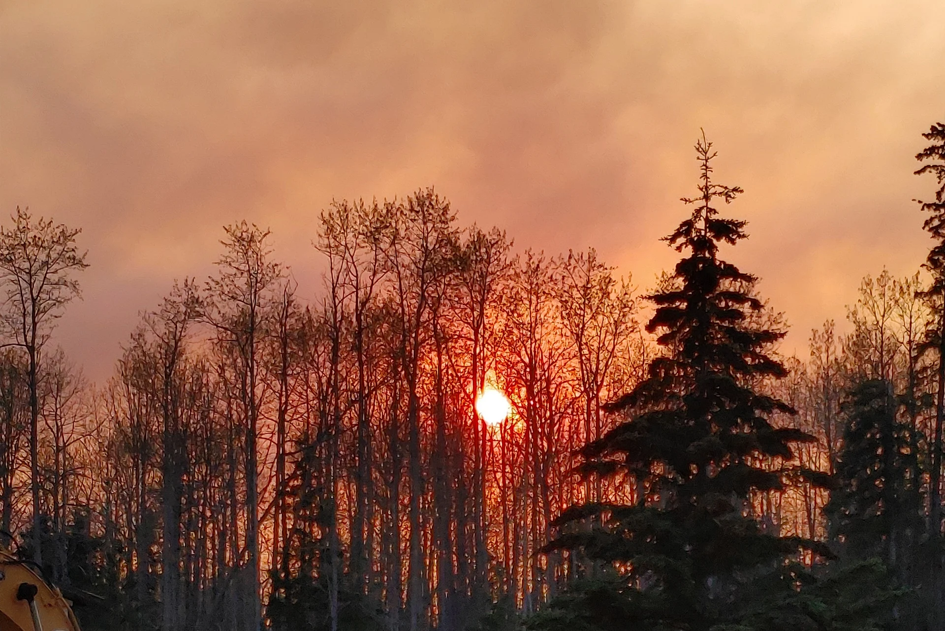 Here's how you can monitor the wildfire situation in Alberta
