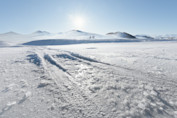Dozens of new viruses discovered in 15,000-year-old Tibetan Glacier