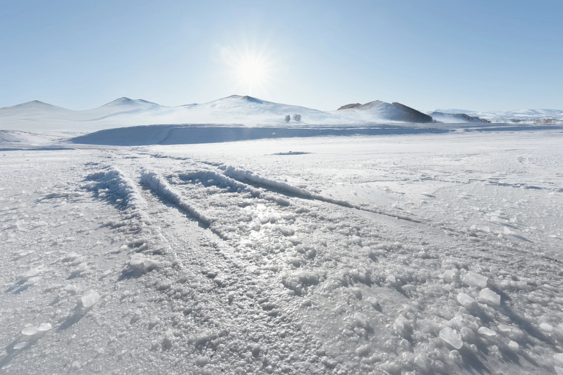 Dozens of unknown ancient viruses found in 15,000-year-old glacial ice