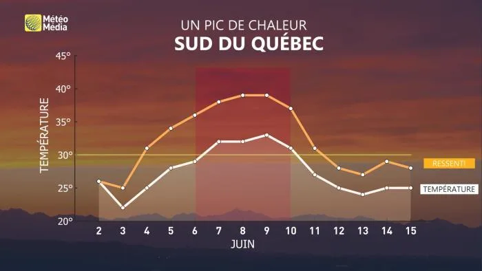 CANICULE 4
