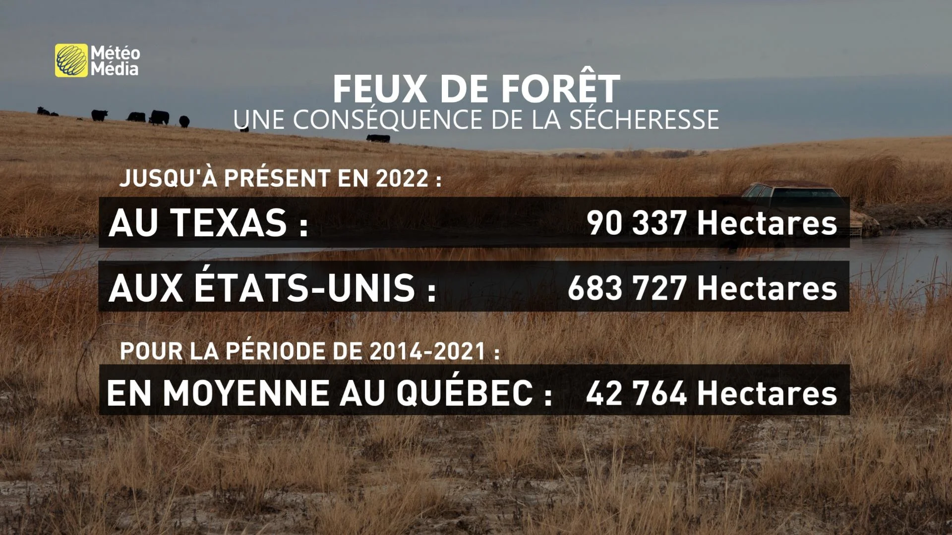 3TABLEAU-FEUX