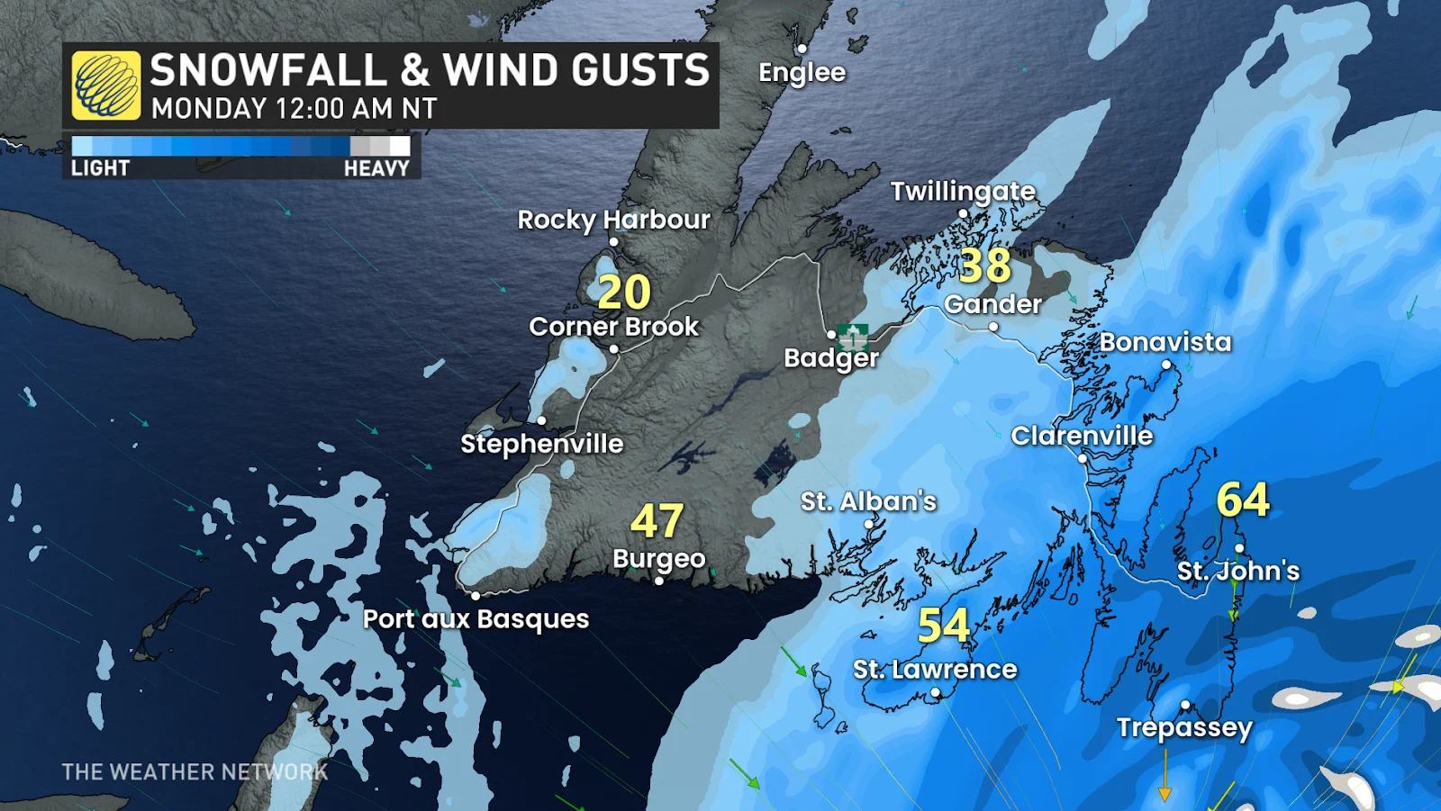 Newfoundland nor'easter snowfall and wind gusts at 12 am Monday - Feb. 8, 2025