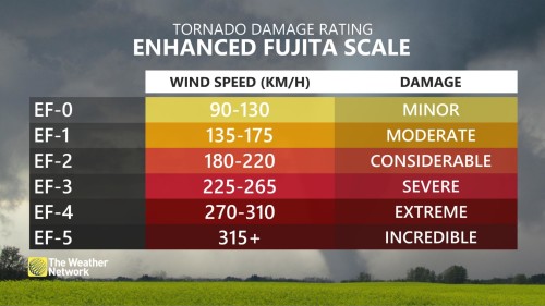 TornadoScale