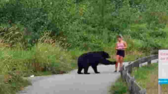 m-t-om-dia-video-captured-of-black-bear-taking-swipe-at-runner-on