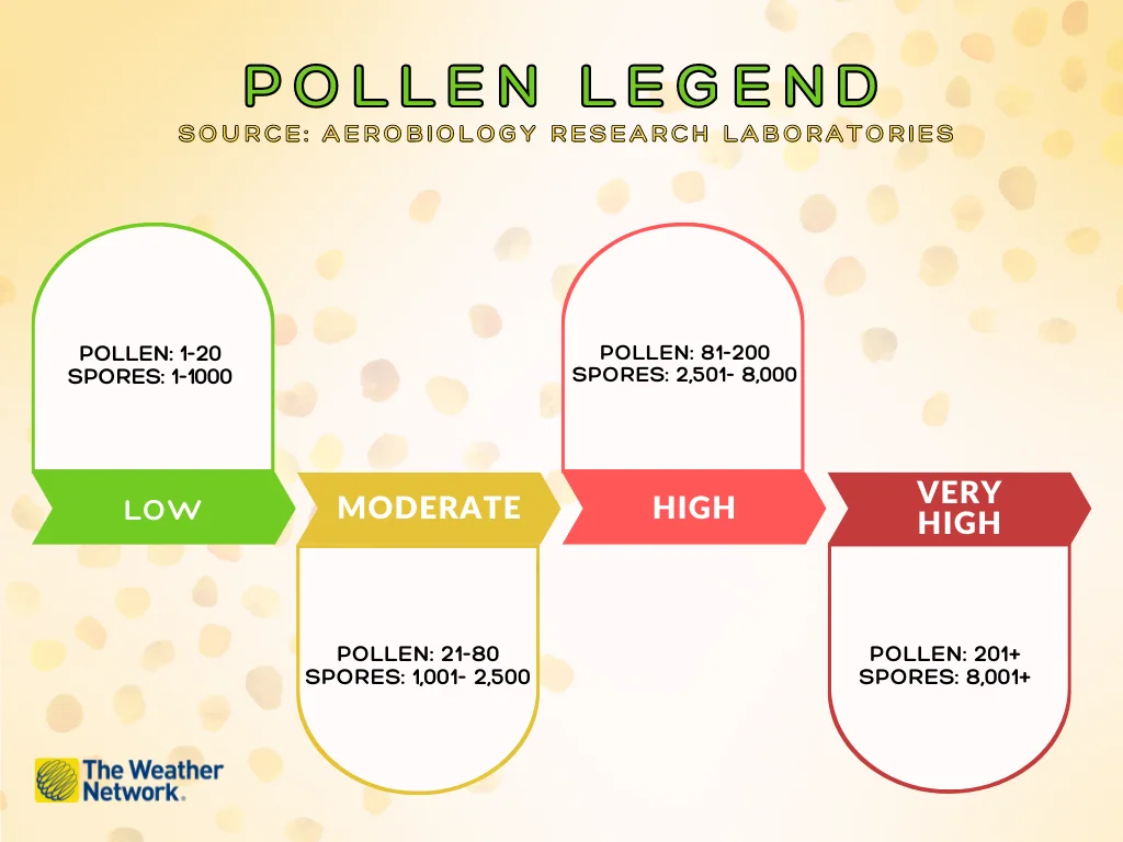 Pollen legend2