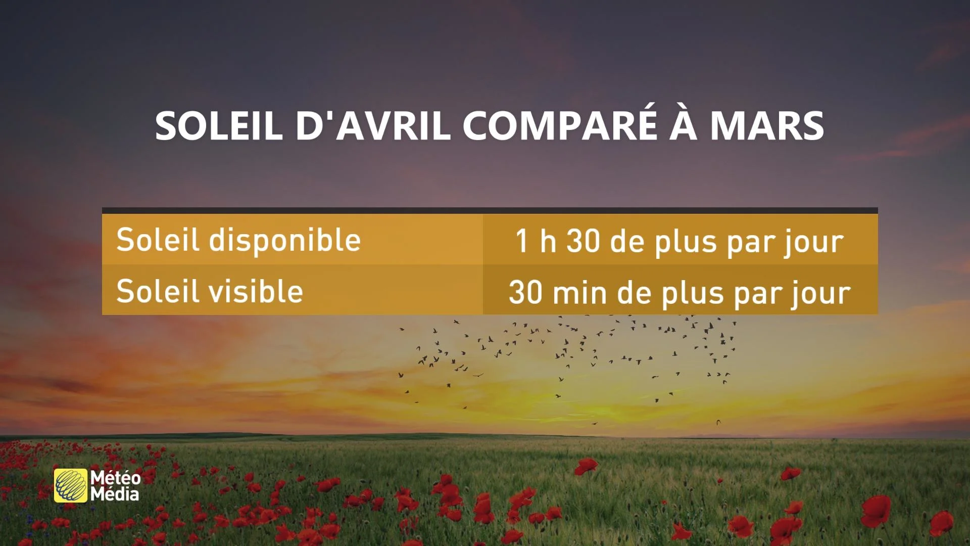 AIMER DÉTESTER AVRIL 4