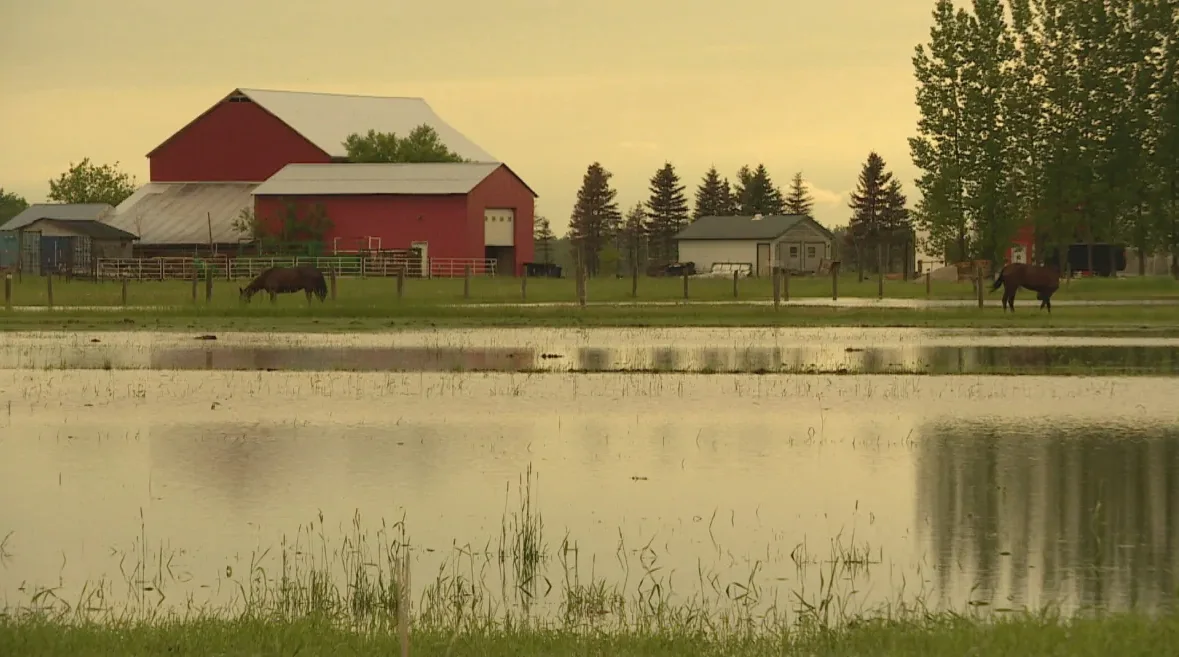 CBC Manitoba flood farm barn
