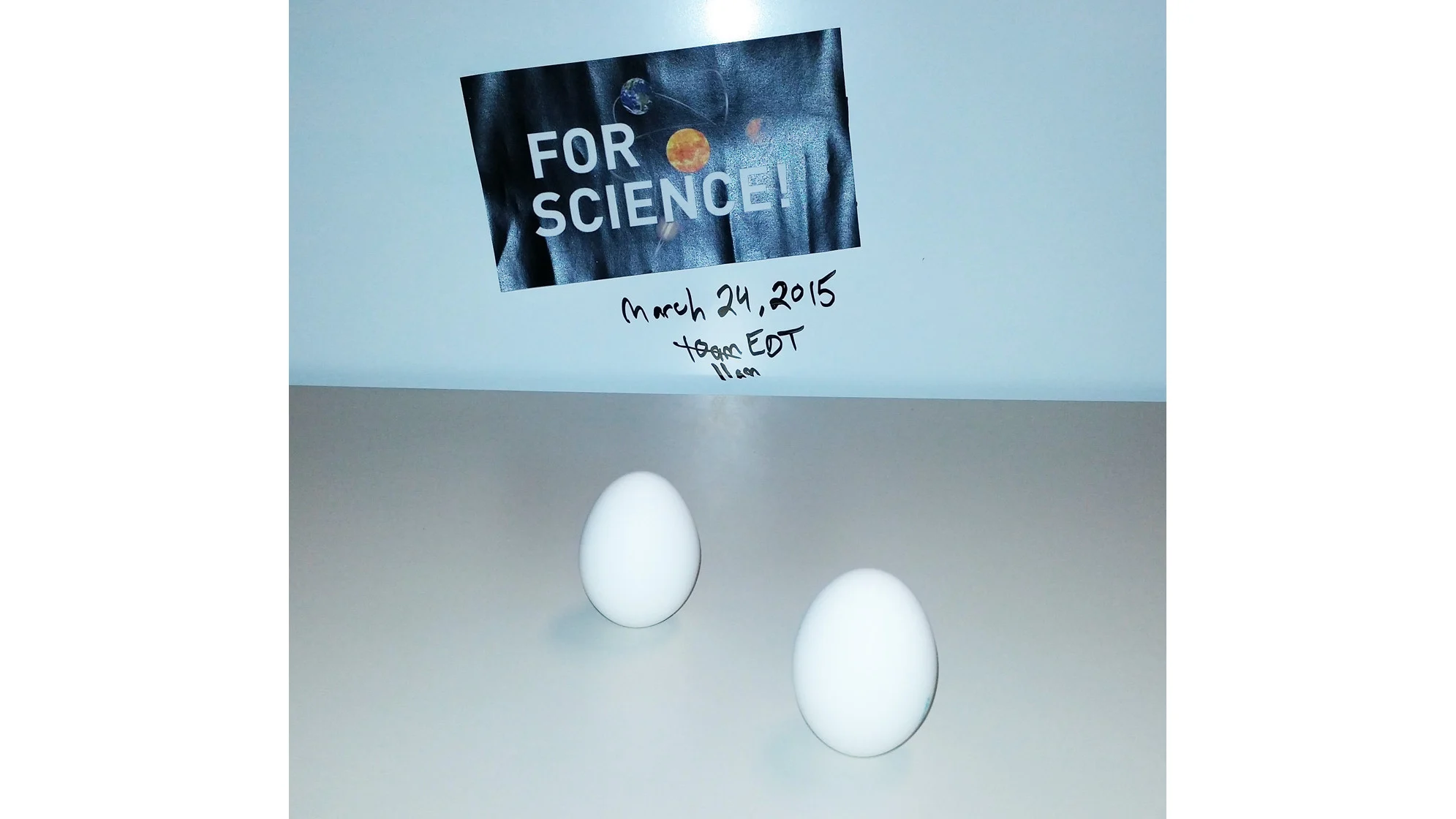 Egg-Balancing-For-Science