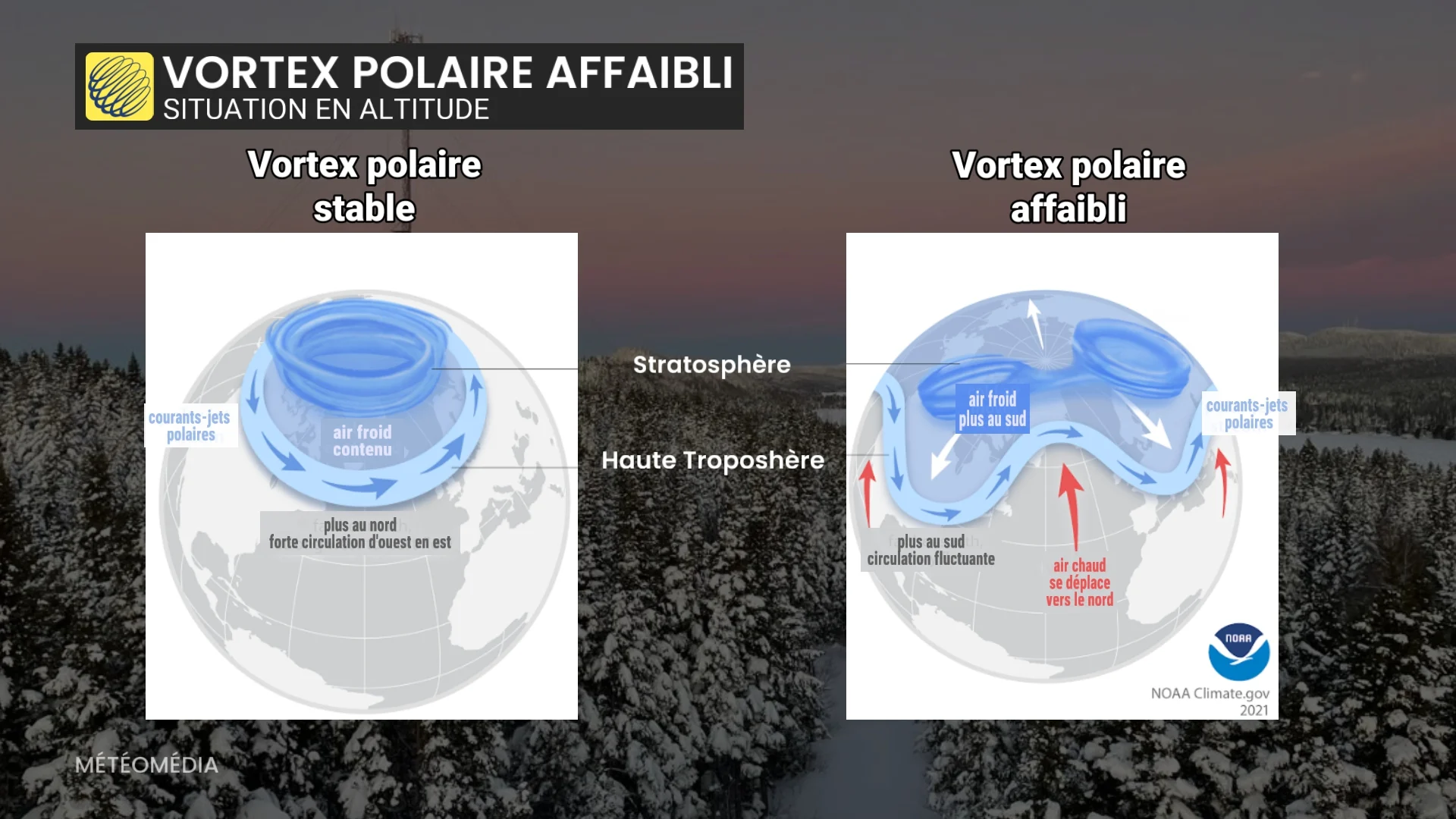 GLACE VORTEX