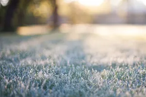 Une autre étape vers l'hiver : le gel se répand