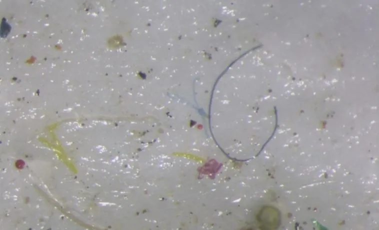 Microplastics have made their way INTO Arctic ice