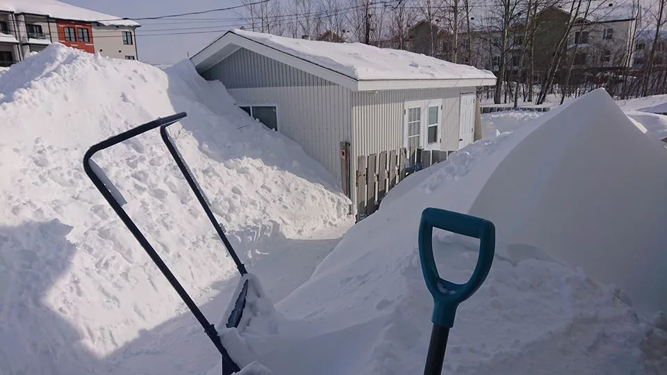 Bilan : février a choisi la neige plutôt que le (vrai) froid