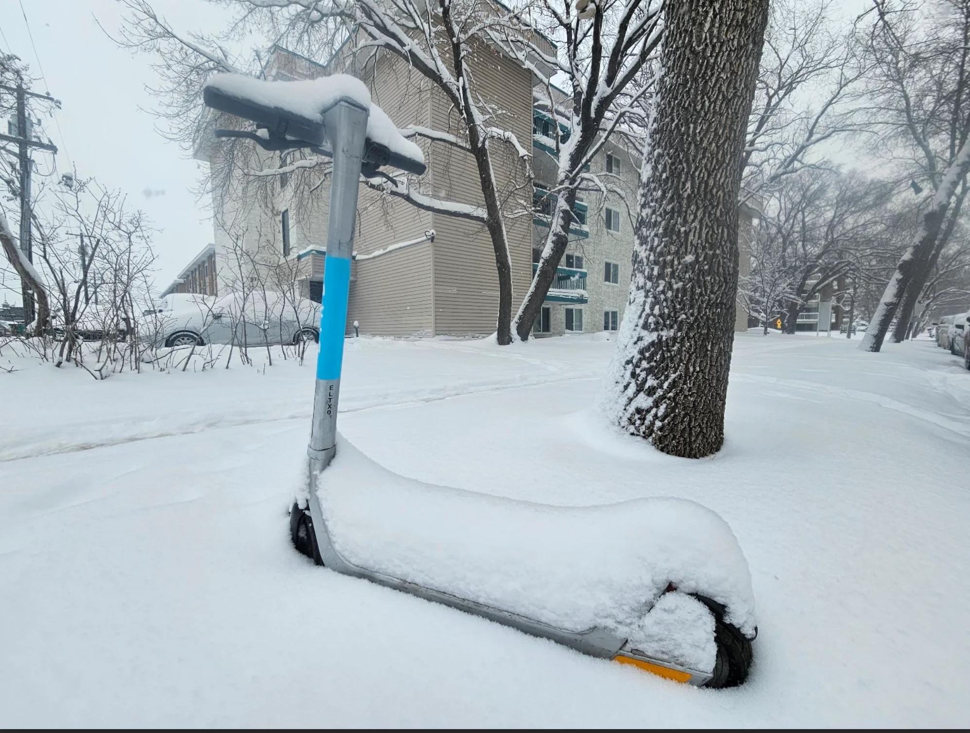 Connor O'Donovan: Heavy springtime snow in Edmonton, Alberta. March 28, 2025 - 4