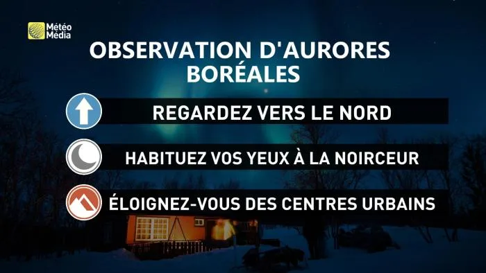 AURORE5 (1)