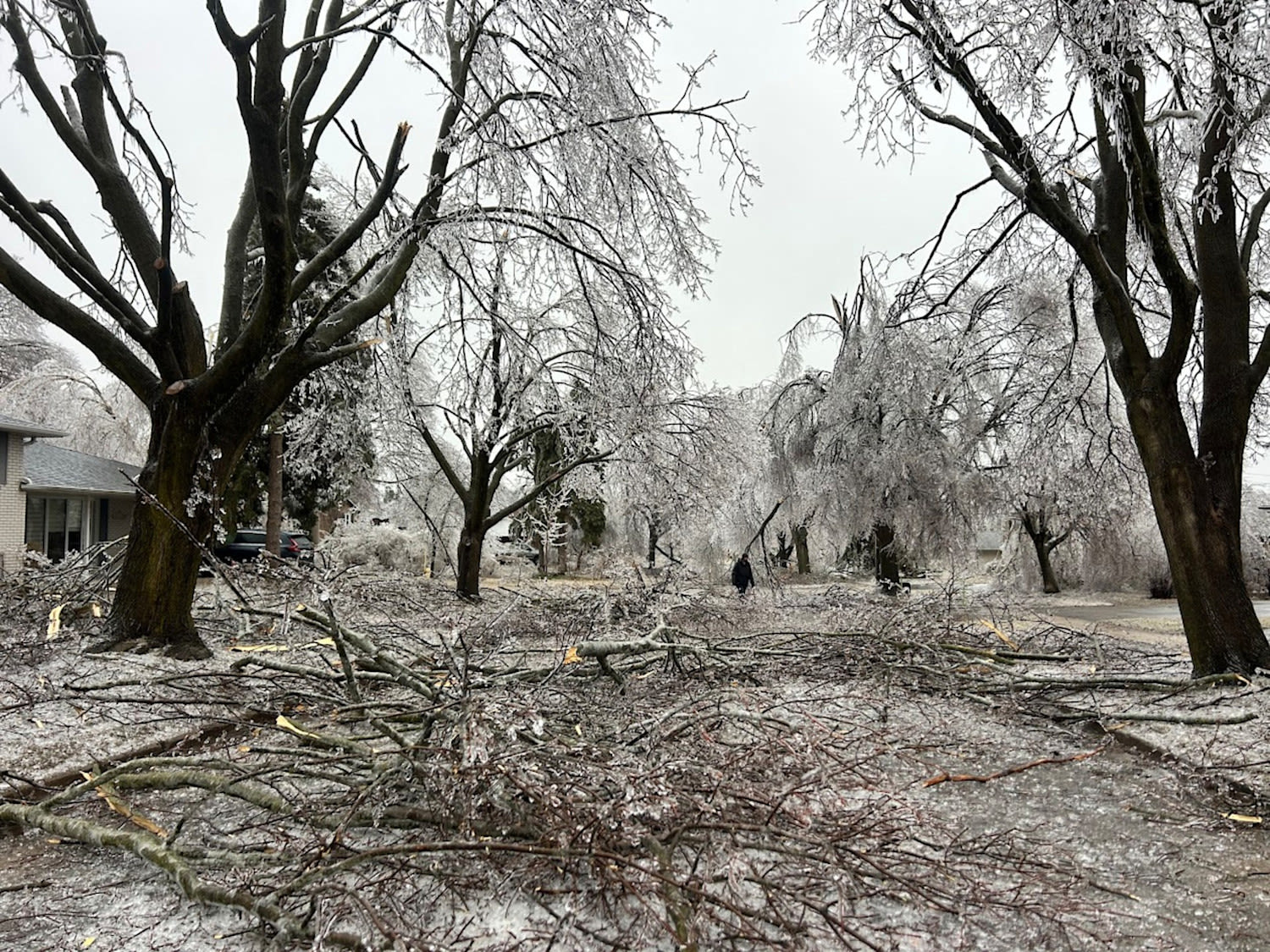 Brutal Ice Storm Leaves 194,000 Homes Without Power