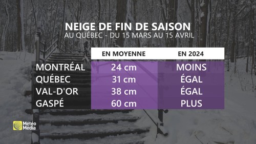 snow1 table (1)