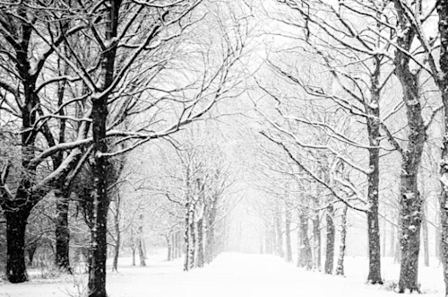 Retour de la neige pour ces secteurs du Québec