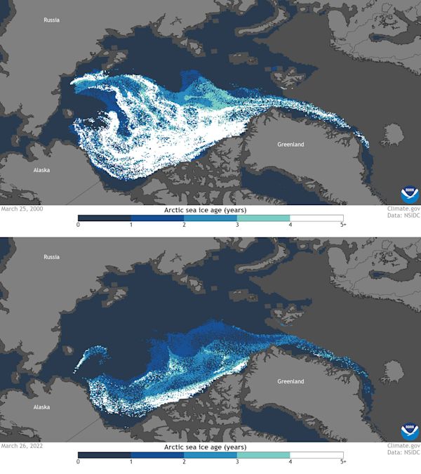 IceSnow - Weekly Sea Ice Age Arctic - 2000 vs 2022 - NOAA / NSIDC