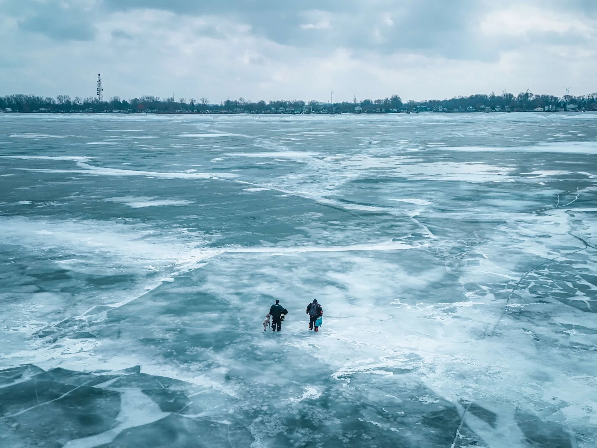 Community rallied to save Rex the dog trapped on icy Ontario lake