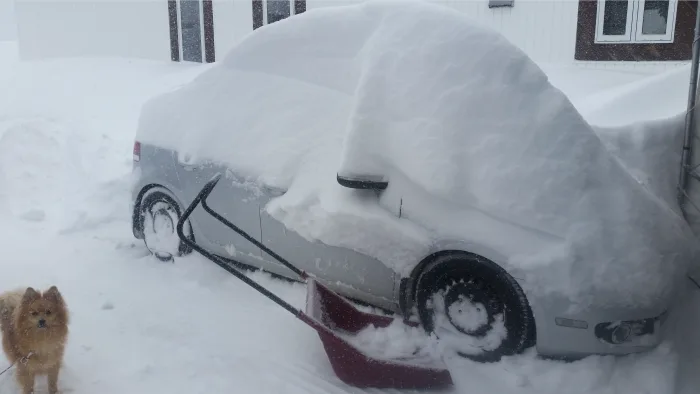 Record de neige pour cette ville du Québec ! Voyez où. 