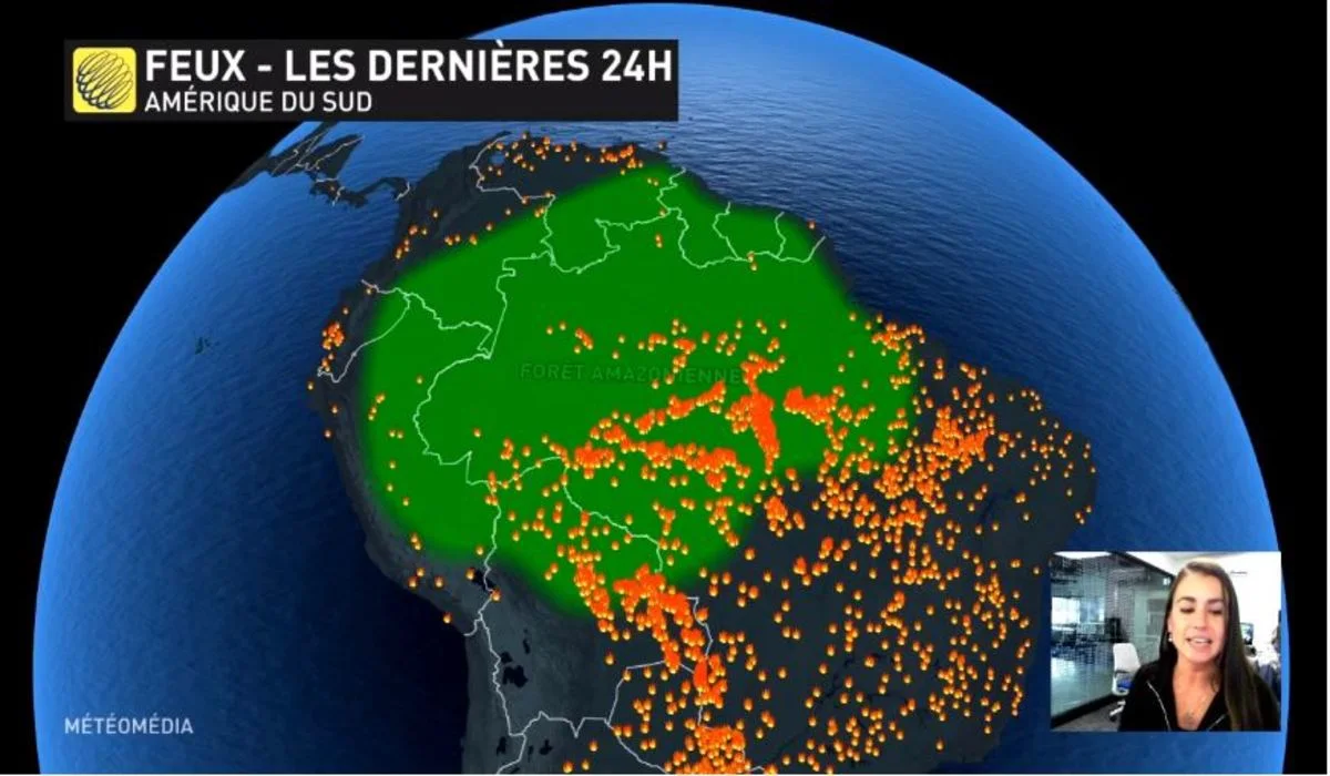 Forêt amazonienne : les poumons de la Terre partent en fumée