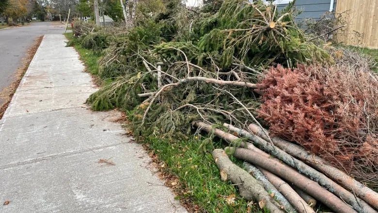 As winter approaches, Islanders asked not to place more Fiona debris curbside