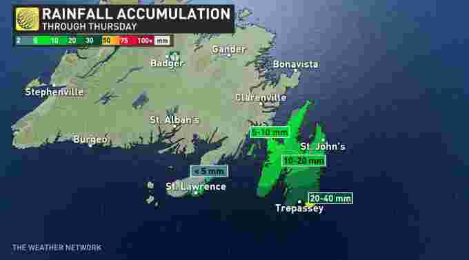Newfoundland Rain